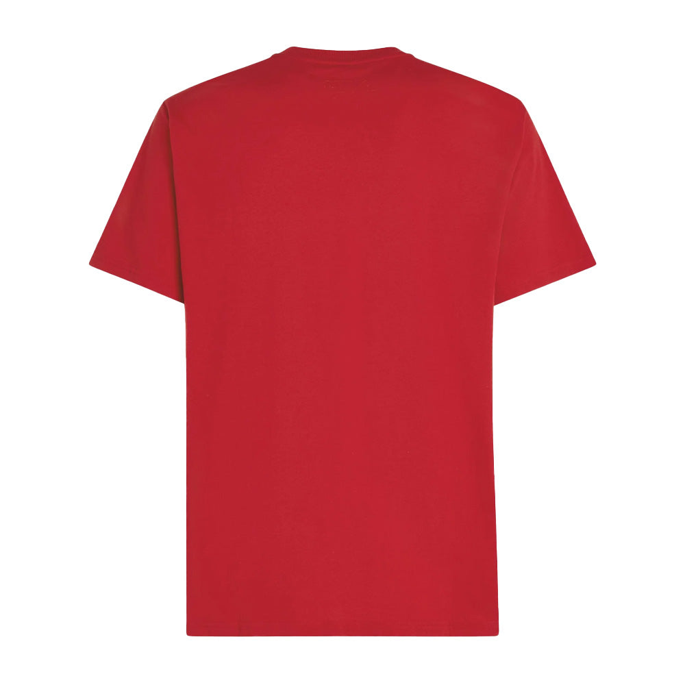 O'Neill Original Badge T-Shirt Mens