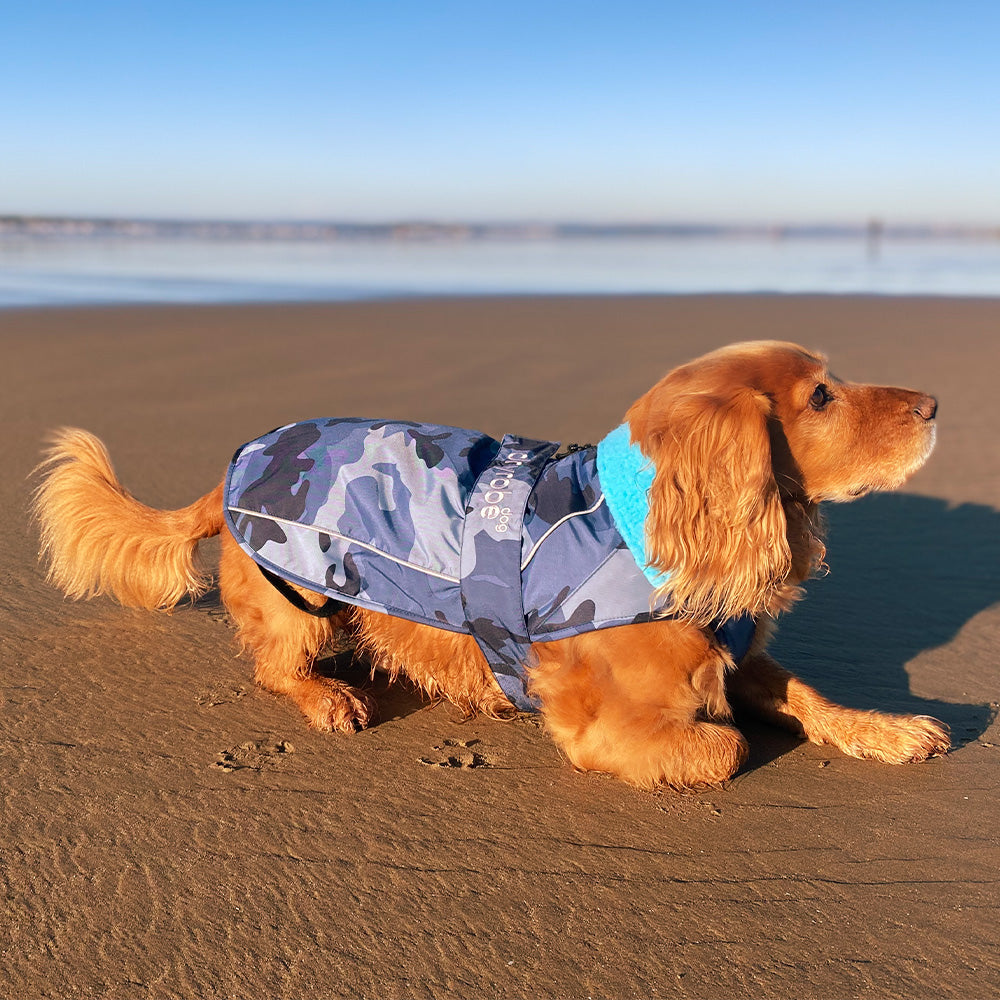 Dryrobe Waterproof Dog Coats